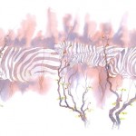 Wildlife Art: Filed to Studio - Alison Nicholls
