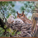 Bivenne Harvey Staiger