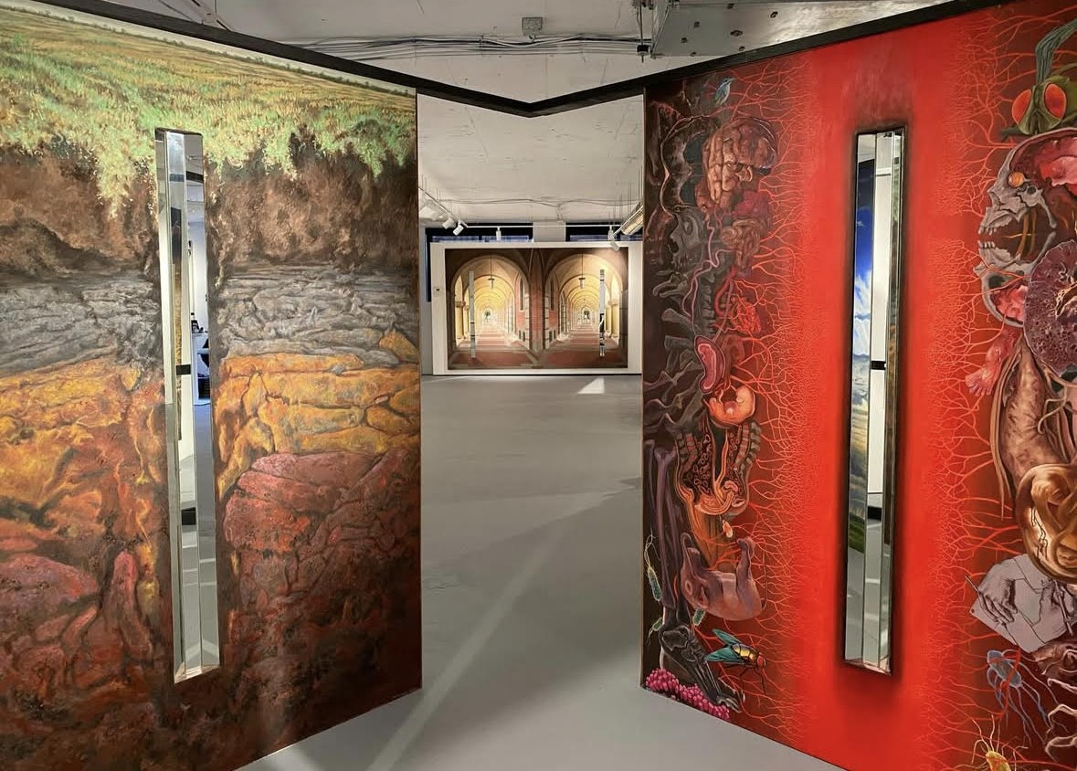 Limits and Proximities Gallery