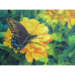 Bivenne Harvey Staiger